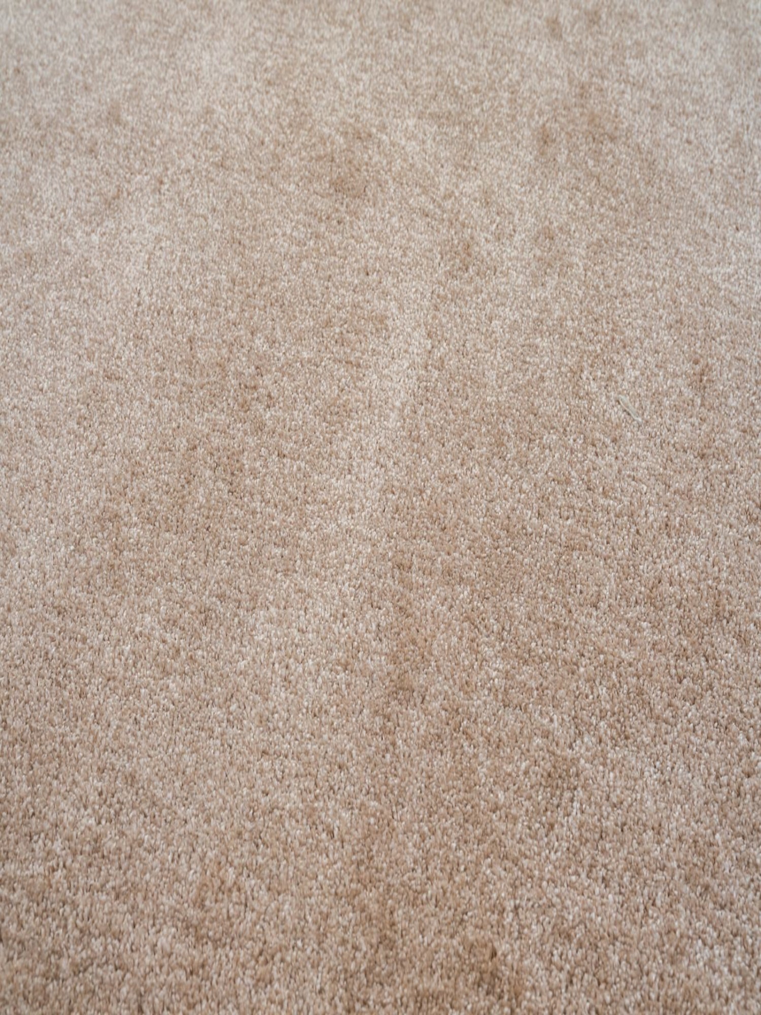 Asta – Teppich in Beige